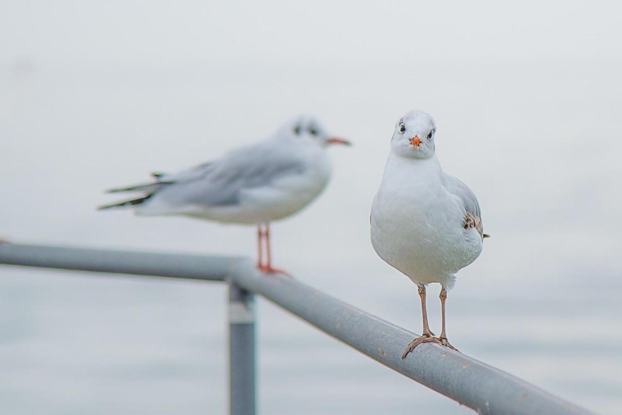 Meerzeit - Maritime Fewo In Timmendorfer Strand Exteriér fotografie